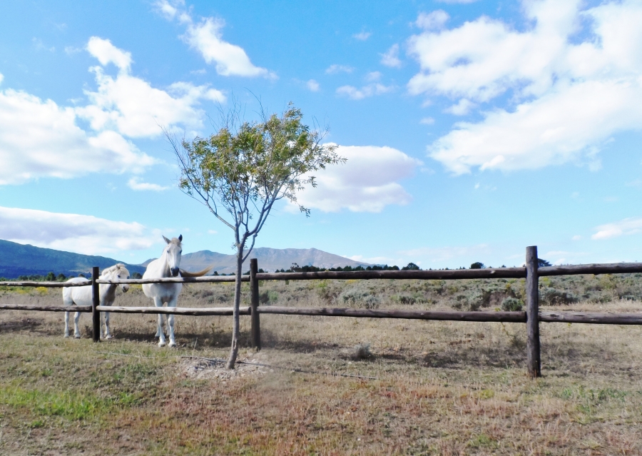 3 Bedroom Property for Sale in Maremmana Estate Western Cape